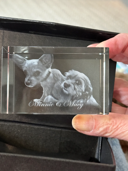 Brick 3D Photo Crystal
