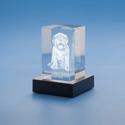 Tower 3D Photo Crystal